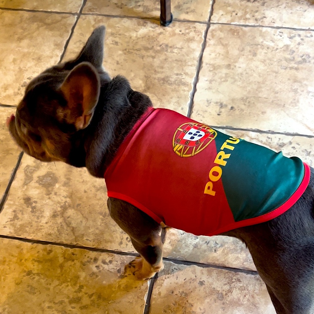 Portugal Dog T-shirt